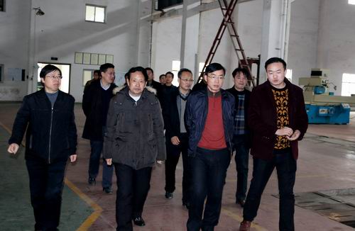 临湘市委书记黄俊钧一行到FH网页登录立体停车设备考察调研